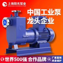 ZCQ型自吸式自吸泵 自吸磁力泵 磁力泵 自吸式磁力驱动泵 定金