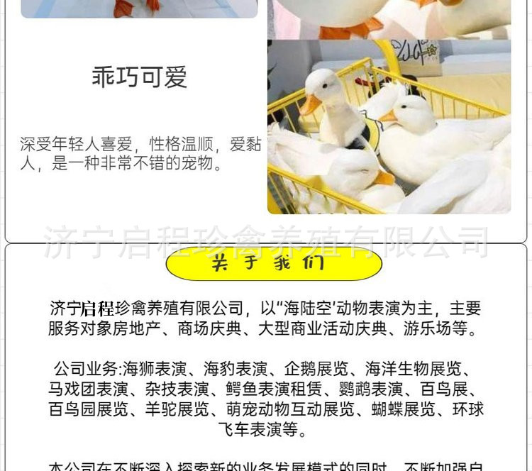 u=1268937931,1037611509&am