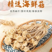 ���ﺣ�r���������_���؛500g���x�����񹽷�зζ���ǲ�乽���l