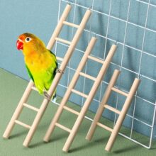 仓鼠玩具 鹦鹉鸟类木桥爬梯鸟笼用品 小宠实木站架攀爬梯宠物鸟