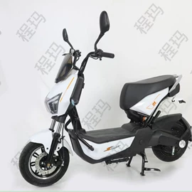 其他电动车;电动车配件;非工业轮胎