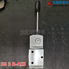 HAWESG?3?R-AKSքӓQysgֹʽQy