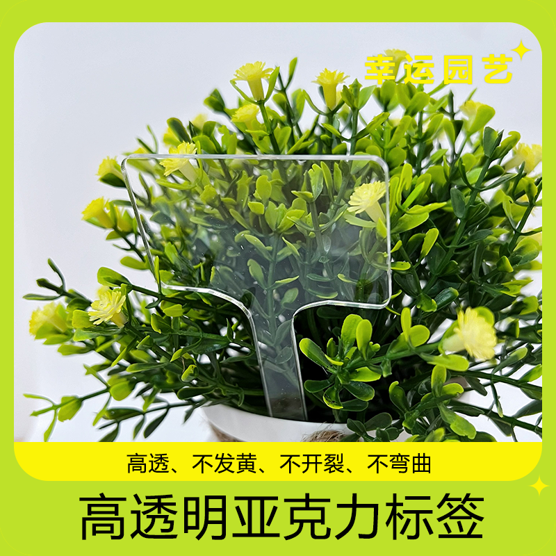j8多肉盆栽插牌标记亚克力植物花卉标签透明花盆园艺绿植标识牌g3