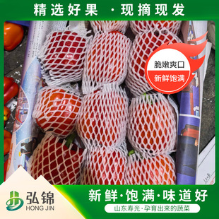 ˮ���t�ʽ� �ڸд����֭�������ˮ���ʽ� �������֬�t�ʽ�