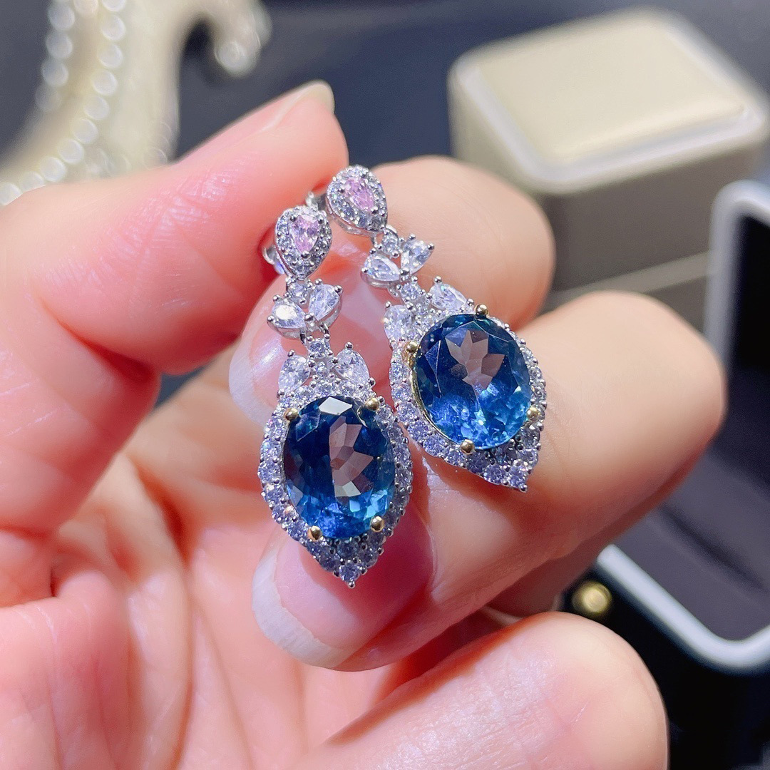 Elite elegant earrings