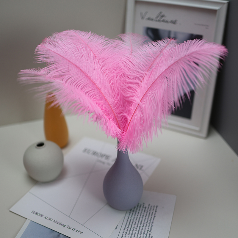 Plumas de avestruz bodas blancas de avestruz guía de plumas accesorios de fotos adornos rojo rosado en línea grandes plumas decoración