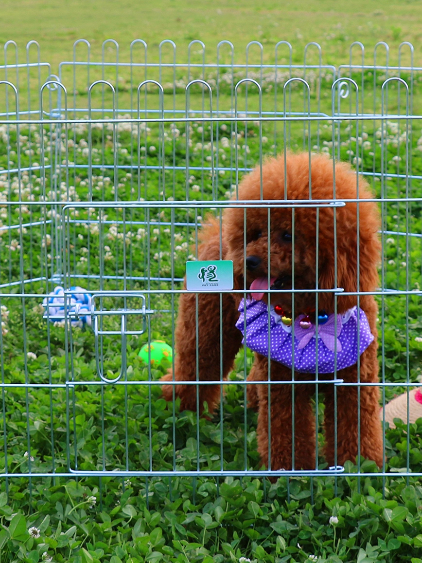 Юань Ян Ке Де Перьерный забор для питомцев, 6-секционный разборный вольер для собак, оцинкованный изоляционный забор для средних и маленьких собак, для использования в помещении и на улице