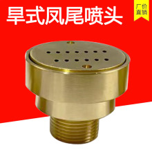 旱式凤尾喷头旱地景观喷头全铜1寸DN25喷泉广场酒店庭院高档小区