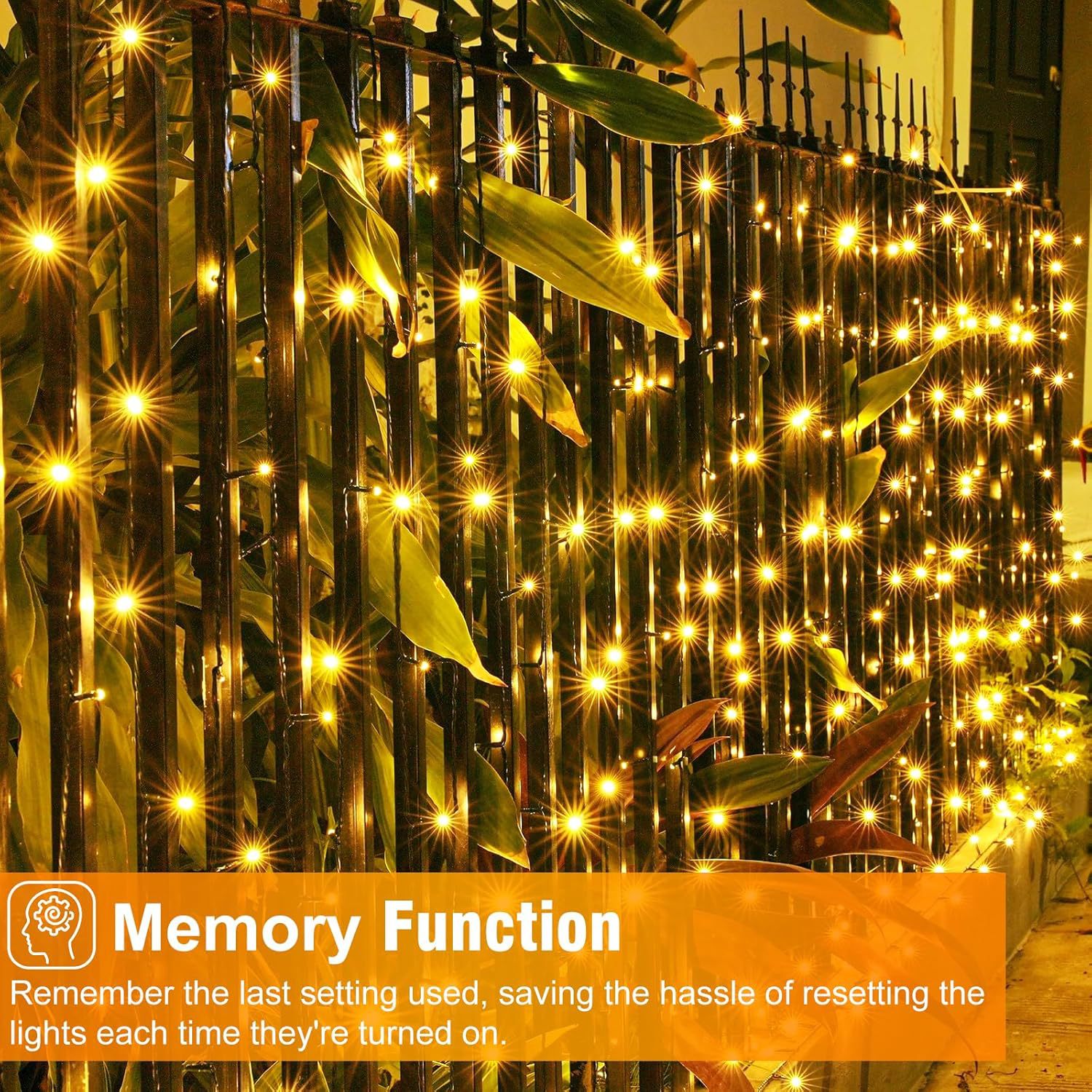 814b5qLOh2L._AC_SL1500_