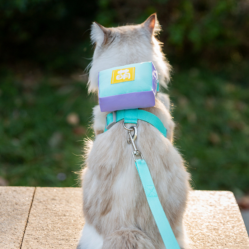 Nuevo chaleco respirado de malla anti-desprendimiento pet pet pet corset para caminar cuerda de gato cadena cuerda de tracción de perro gato