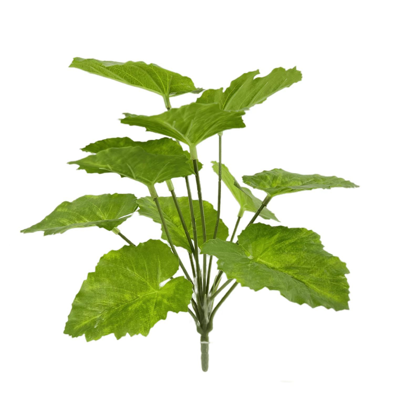 Descuento personalizado planta verde artificial flor artificial tortuga árbol trasero roble árbol de hierro viaje hoja de plátano Banyan Phoenix cola bambú Phoenix cola girasol