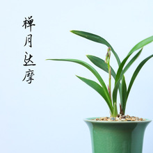 ���L�m�����m���m�����҃�������B�辰���������k�������ֲ��.