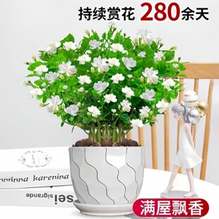 �ذ��������Ԏ������҃��̨���ܾGֲ�Ϙ��������������ͺ��B
