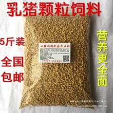 С�i�������_�������i�̲���С���i�����w��ȫ�r���i�u�̹�