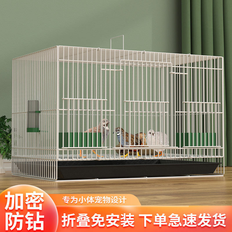 Specialized Large Encrypted Cages for Quail Chicks, Small Chicken Cages, Quail Cages, Koll Duck Cages, Chicken Cages, Bird Cages, Iron Art