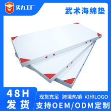 体育练功垫舞蹈体操海绵垫子跨境供货空翻垫跆拳道武术垫瑜伽加厚