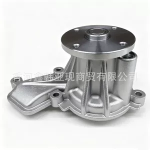 251002E000 Soyuducu Su Nasosu Hyundai Ix35 Kia K5 üçün