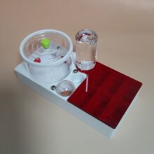 合后巢黑金弓背蚁尼科巴无限合后巢蚂蚁蚁巢新后巢平面巢蚂蚁工坊