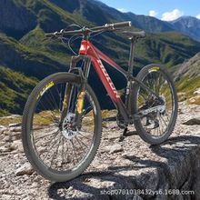 碳纤维 双碟刹 脚踏车 单车 轻量舒适 变速车 脚踏车 山地自行车