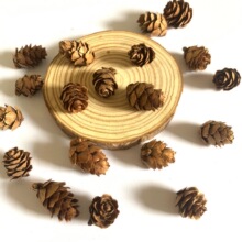 С�ɻ�С���~��΢���^�����ɹ��ɻ�С�ɹ��}�Q�b������1-2.5cm