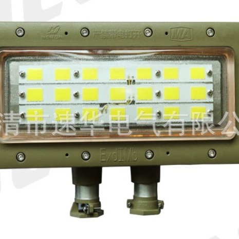 华荣 DGS50/127L(M)矿用隔爆型LED巷道灯(IP65)宽电压85V~265V