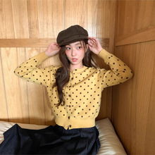 ײɫ���c�Ứᘿ��_��Ů�＾㼑������L���s�ٴ�����