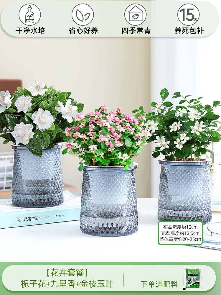 [꽃패키지] 치자나무 + 구리향 + 황금가지와 옥잎