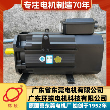 广东东莞环球GT25-480S202R-100.5KW永磁同步伺服三相变频电动机