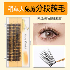 Strawman Segmented Comic-Eye Fairy: Luxurious, Dense, Crisscross Eyelashes from Europe and America—Heat-Melt Grafted Clusters of Synthetic False Lashes