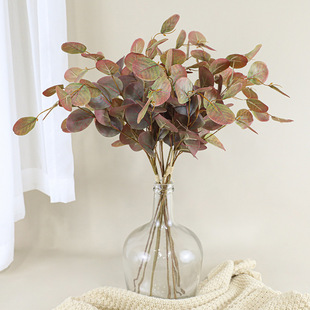 ��ɫϵ������X�~3֧�������ȼ����O���~�Gֲ��Y�b����٘��~