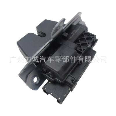 Central locking FA1Z7443150C Tailgate