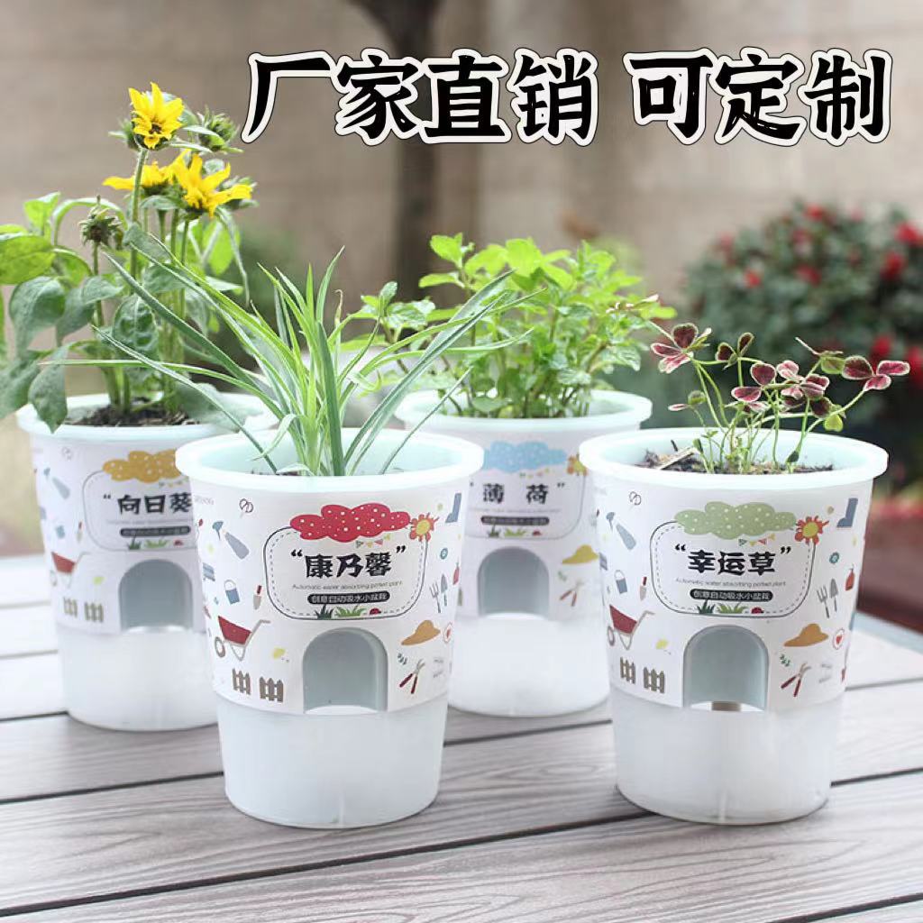 罐小吸迷你植物盆栽幼儿园儿童DIY种植草头植物发芽盆栽桌面绿植