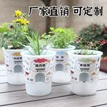 罐小吸迷你植物盆栽幼儿园儿童DIY种植草头植物发芽盆栽桌面绿植