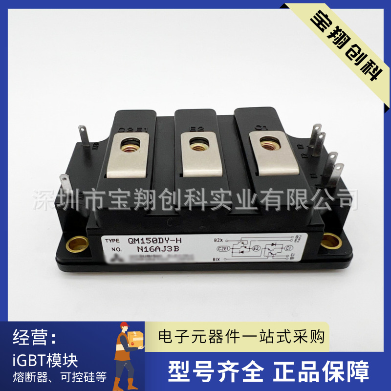 QM150DY-H QM50DY-H QM100DY-H QM200DY-H QM30DY-H QM75DY-H