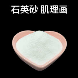 厂家供应雪花白砂微景观枯山造景丙烯肌理画 手工DIY用白色砂子
