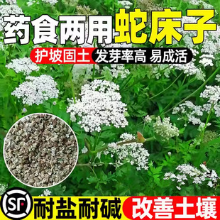 �ߴ��ӷN�Ӷ������o�¹����N�����}�|��������ș��ʳ��Ұ�������