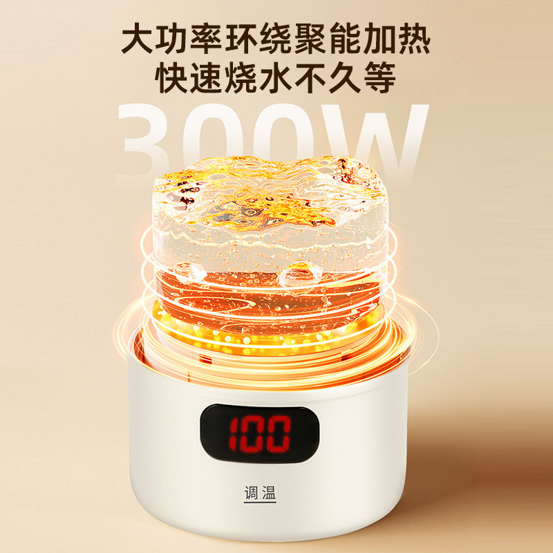烧水杯便携电热水杯 养生杯电炖杯热水电热杯恒温加热保温杯跨境|undefined