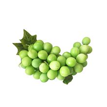 ��������������������t���ˮ���[���҃��b���Ʒ