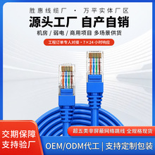 批发超五类网线跳线电脑成品非屏蔽网络线1米2米RJ-45连接线千兆