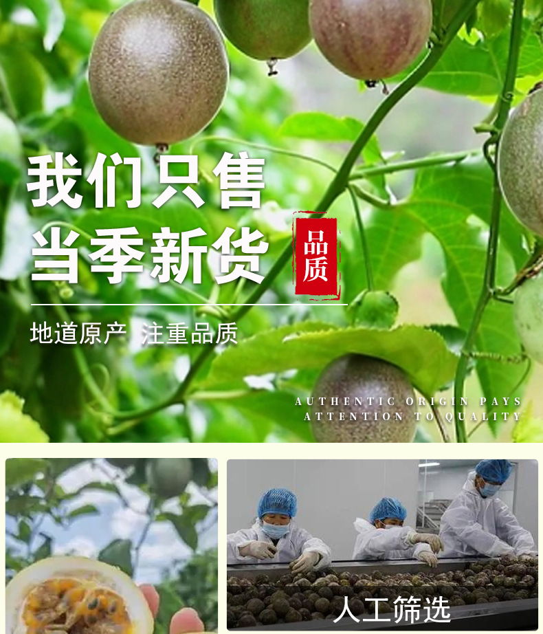 Freeze-Dried Passion Fruit (Passiflora edulis) — 200g Pouch Fruit Tea Ingredient specifications
