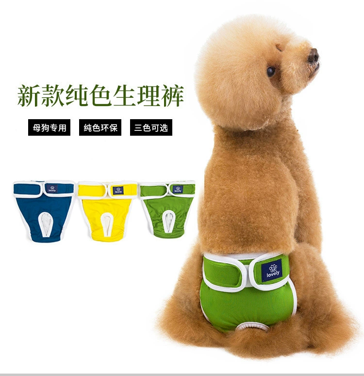 Физиологические штаны для домашних животных менструальные штаны для собак сука против домогательств нижнее белье с течкой сплошной Цвет Штаны для здоровья собак оптом
