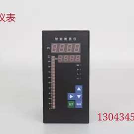 FY800-701-010-000智能数显控制仪光柱