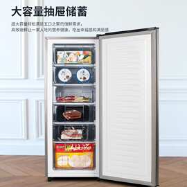 适用夏新立式冰柜家用抽屉全冷冻冰箱小型一级能效母乳储奶保鲜冷