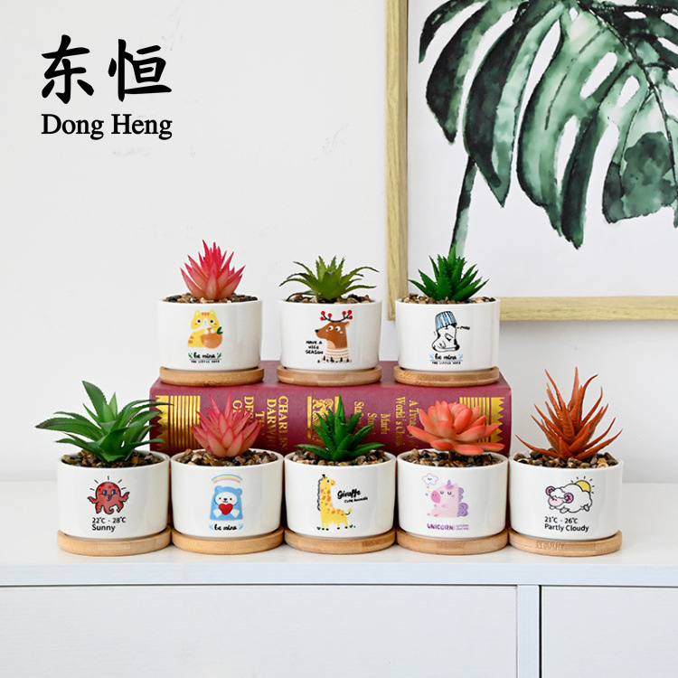 东恒 跨境创意贴花卡通多肉花盆陶瓷个性白瓷花盆桌面绿植盆器