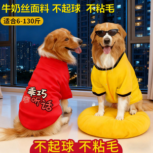 �󹷹��·��ﶬ���b��ë���������_ĦҮ��ʿ��С��̩�����ʹ���Ȯ