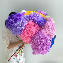 单枝八仙花婚庆婚庆七夕装饰云南呷永生花绣球跨境鸣安娜花束厂家