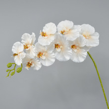 仿真9头法式蝴蝶兰新中式轻奢客厅卷边蝴蝶兰枝摆件婚礼场景布置