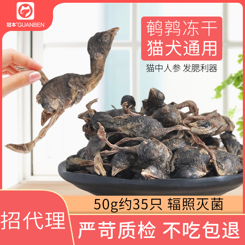 Freeze-Dried Cat Snacks, Quail Meat Jerky, Raw Meat for Cats, Cat and Dog Snacks, Calcium Supplement, Pet Dog Snacks, Kitten Food