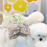 Педная одежда собака голая спина к шнуру с плюшевой одеждой для кошачьей одежды для домашних животных 22 Клетчатая грудь хризантема