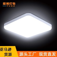 亚马逊货源led吸顶灯圆形人体感应浴室楼梯阳台吸顶灯 感应三防灯